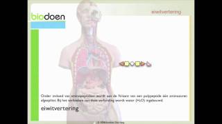 Biodoen  eiwit vertering 2 van 4 [upl. by Llertnod81]