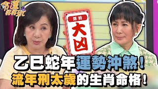 乙巳蛇年運勢沖煞！流年刑太歲的生肖命格！【精華版】 [upl. by Aralomo]