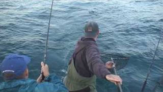 Racine King Salmon Fishing Trolling for Chinook [upl. by Sarita]