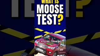 WHAT IS MOOSE TEST [upl. by Ailemap]