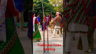 Traditional Limbu wedding shortsfeed love trending youtubeshorts ytshorts shorts video yt [upl. by Ebarta]