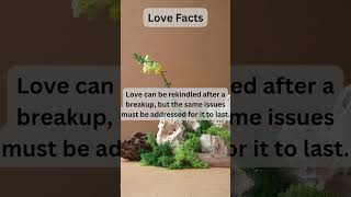 Love 88 facts innovation quotes psychology motivation psychologyfacts love [upl. by Rodrick]