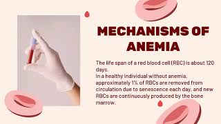 Understanding Anemia Diagnosis and Evaluation [upl. by Ayila]