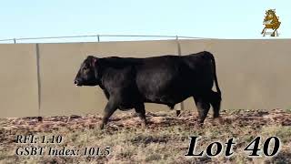 Lot 40  Green Springs Bull Test Fall Sale  11182024 [upl. by Akerdnahs]