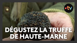 Dégustez la truffe de HauteMarne [upl. by Berners]