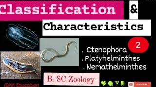 Classification amp Characteristics  2 l Ctenophora l Platyhelminthes l Nemathelminthes l [upl. by Liponis209]