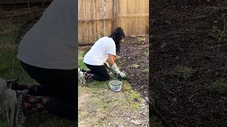 How I created a garden edge Detailed video is live [upl. by Thema]