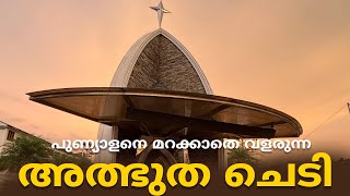 നിഷ്ടൂരകൊലപാതകത്തിന്റെ 30 വർഷംറാണി മരിയയുടെ ഓർമ്മകൾ ഇന്നും ഇവിടുണ്ട്Rani Mariatravel viralvideo [upl. by Greenman]