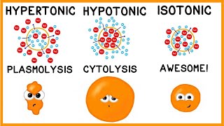 Plant cell  Notes  structure and Function  Basic Science Series [upl. by Schoenburg]