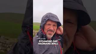 Sycamore Gap Hadrians Wall Felling of the Tree 4 Miles Running Cycling Walking in Britain 🇬🇧 [upl. by Graner456]