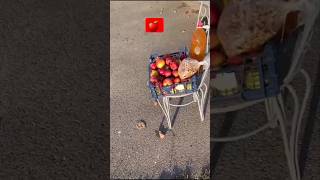 Organic Street Market From The Back Of The Garden 🍎 😃🌞👍 [upl. by Zacks]