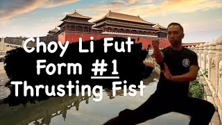 Choy Li Fut Form 1 Thrusting Fist Form [upl. by Asirrac]