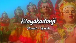 Mayakadonji Slowed  Reverb  Tulu Song [upl. by Antin]