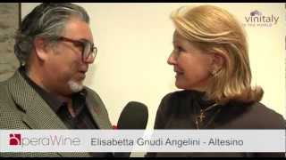 OperaWine  Charlie Arturaola interviews Elisabetta Gnudi Angelini  Altesino [upl. by Normie]