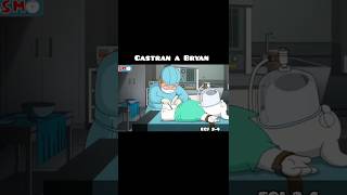 Castran a Bryan 🤣 familyguy stewiegriffin humor shorts shortsfeed shortsviral [upl. by Zusman785]