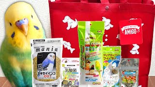 今年もペットショップ『ペットワールド アミーゴ』の人気福袋を買いました！ [upl. by Rotce]