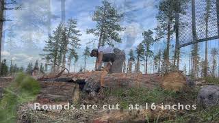 Wood cutting with the Whitefoots [upl. by Annoeik]