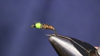 Cased Caddis Beginners Fly Tying Series Episode 10 Holsingers Fly Shop [upl. by Ervin]