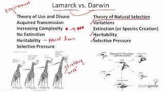 1221 Darwin v Lamarck [upl. by Llebasi]