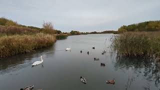 peacefulness in a country park [upl. by Ecerahc296]