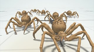 Influx of spiders in UK homes [upl. by Hulbert]