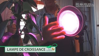 AMPOULE de croissance A LED POUR PLANTE  PEARLTVFR [upl. by Wymore]