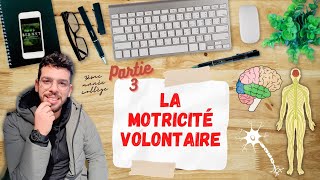 Le système nerveux 3AC  الجهاز العصبي Partie 3  La motricité volontaire [upl. by Ruffo]