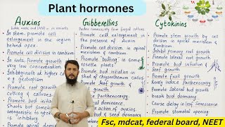 plant hormones  auxin gibberellin and cytokinin  class 12 [upl. by Ynneh]