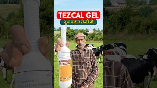 दूध तेज़ी से बढ़ाना है तो TezCal Gel ही पिलाना है ✅ Calcium नहीं पिलाना है ❌ tezcalgel [upl. by Hephzipah]