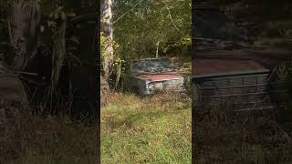 Vintage Ford Maverick and more wood find [upl. by Holly-Anne957]