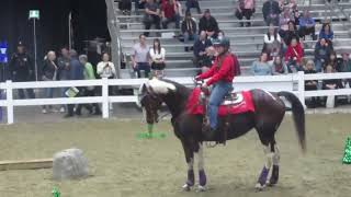 Royal Winter Fair 2014– Spirit of the Horse Grass Roots Cowboy Obstacle Course Run [upl. by Oirotciv]