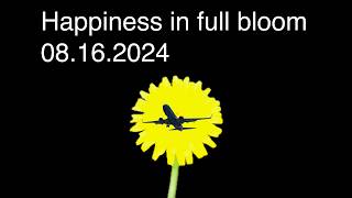 Happiness in full bloom  promo [upl. by Eiramannod]