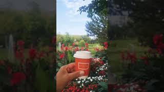 Oberlaa Park Vienna Austria Summer Beauty garden vienna shorts shortvideo [upl. by Yggep]