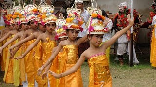 Tari Rejang Dewa saat Rahina Ngusaba Pura Puseh [upl. by Bakki]