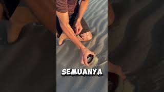 Bagaimana Memancing Magnet Di Padang Pasir crafterduck TT shortvideos [upl. by Pressman990]