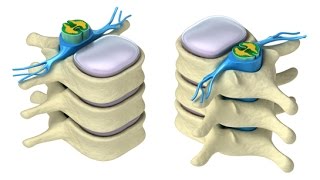 CURSO DE FARMACOLOGÍA DEL SISTEMA NERVIOSO AUTÓNOMO [upl. by Areis497]