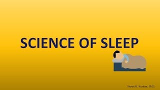 Stages of Sleep REM sleep Circadian Rhythm [upl. by Aluk898]