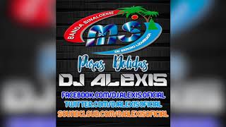 Banda MS  Puras Dolidas Mix   DJ Alexis [upl. by Alien]