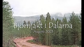 Björnjakt i Älvdalen 2023 [upl. by Nosirb]