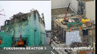 Fukushima 4 Nuclear Meltdowns amp Daily Radioactive Comedy News Show  Aug 0424 [upl. by Ahsikcin]