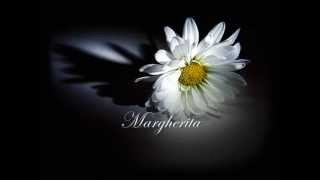 Margherita  Riccardo Cocciante with lyrics [upl. by Atthia904]