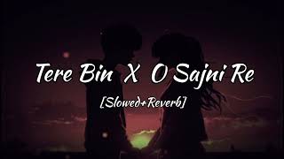 Tere Bin X Sajni Re  Atif Aslam  Arijit Singh  2024 song [upl. by Nitnilc]