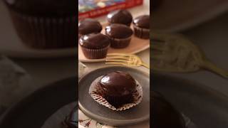 The Easiest Chocolate Ganache Cupcakes [upl. by Anairad]