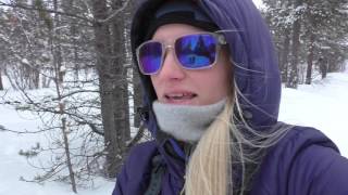 VLOG Mushing with my dogs [upl. by Alan]