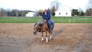 Jacs Cee Pine  1997 AQHA reining stallion for sale [upl. by Phyllys]