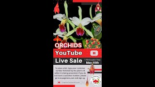 Orchid Live Sale [upl. by Leshia812]