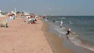 La plage de Raoued est fortement polluée [upl. by Artemas132]