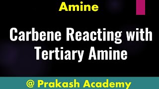 Carbene Reacting with Tertiary Amine I Carbene Reactions I Nitrene I Carbene Chemistry [upl. by Rizas360]