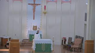 June 21 2024 at 0800 am Catholic Mass from St Philip Vacherie LA [upl. by Hubbard]