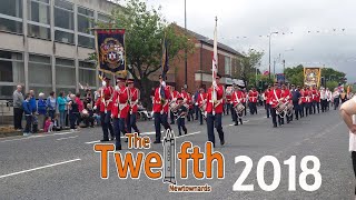 The Twelfth Newtownards 2018 Full Parade [upl. by Nilerual]